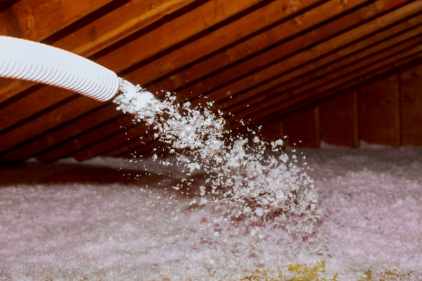 Best Insulation Contractors for Homes  in Gra Forks Af, ND
