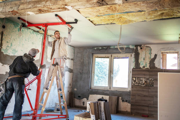 Best Cellulose Insulation  in Gra Forks Af, ND