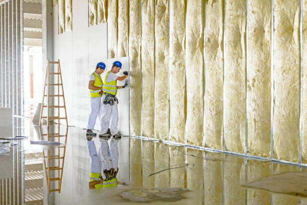Best Insulation Replacement Services  in Gra Forks Af, ND
